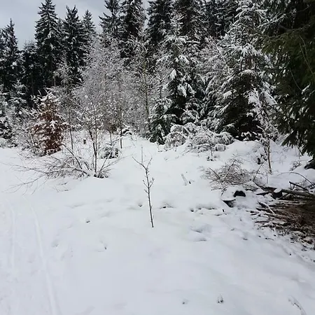 Rosalie - - Hiking&swimming - Cozy&nature Winterberg