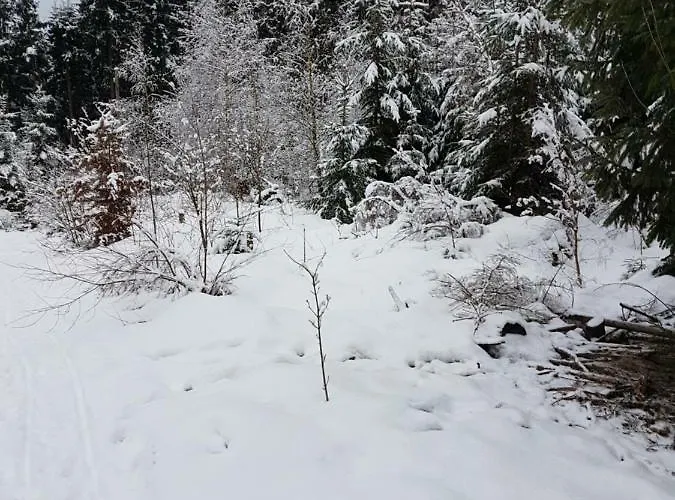 Rosalie - - Hiking&swimming - Cozy&nature Βίντερμπεργκ