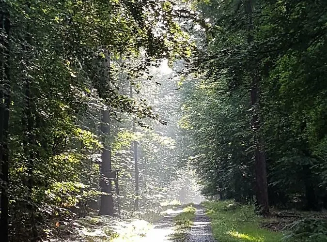 Rosalie - - Hiking&swimming - Cozy&nature Διαμέρισμα *